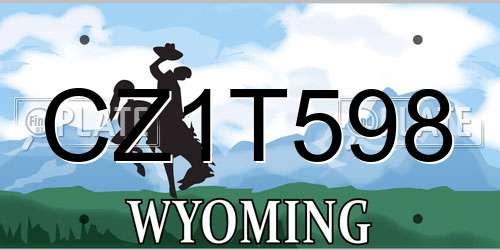 CZ1T598 Wyoming License Plate