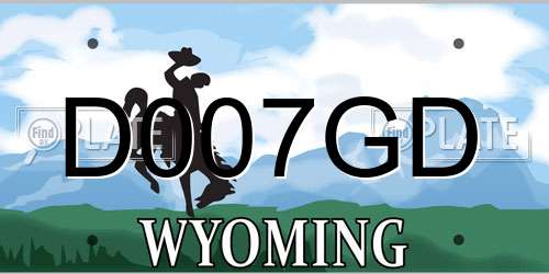 D007GD Wyoming License Plate