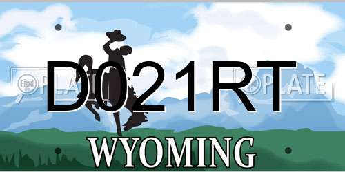 D021RT Wyoming License Plate