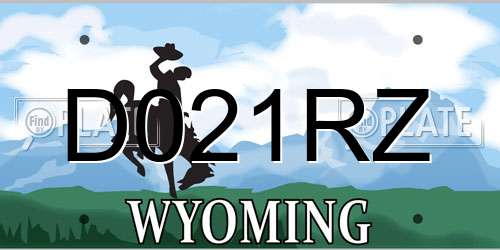D021RZ Wyoming License Plate