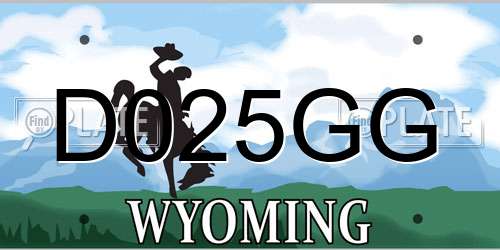 D025GG Wyoming License Plate