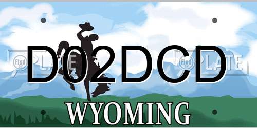 D02DCD Wyoming License Plate