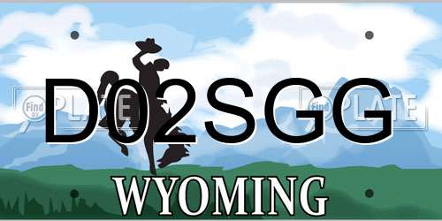 D02SGG Wyoming License Plate