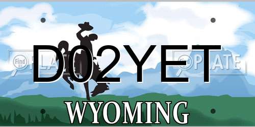 D02YET Wyoming License Plate