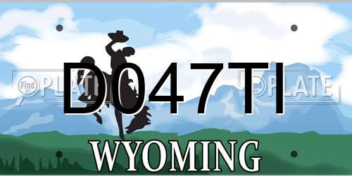 D047TI Wyoming License Plate