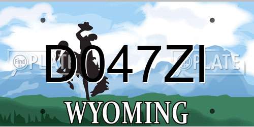 D047ZI Wyoming License Plate