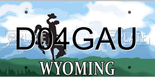 D04GAU Wyoming License Plate