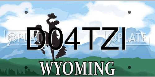 D04TZI Wyoming License Plate