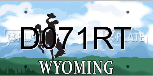 D071RT Wyoming License Plate