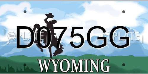 D075GG Wyoming License Plate
