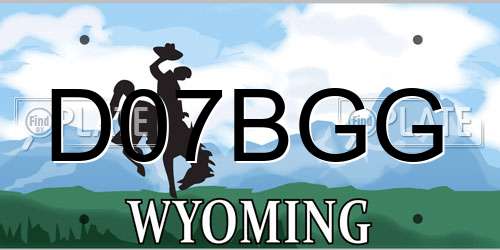 D07BGG Wyoming License Plate