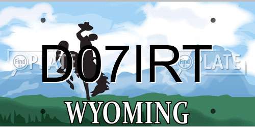 D07IRT Wyoming License Plate