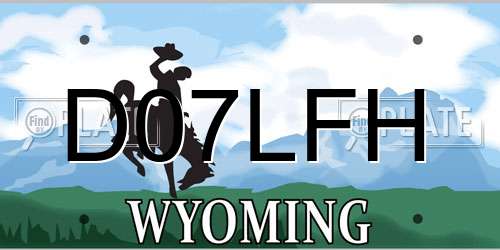 D07LFH Wyoming License Plate