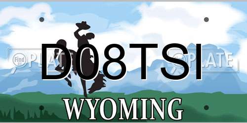 D08TSI Wyoming License Plate