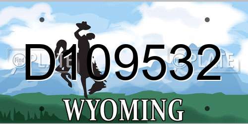 D109532 Wyoming License Plate