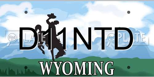 D11NTD Wyoming License Plate