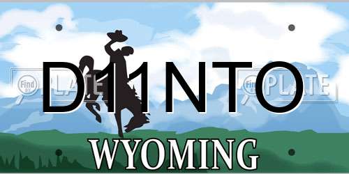 D11NTO Wyoming License Plate