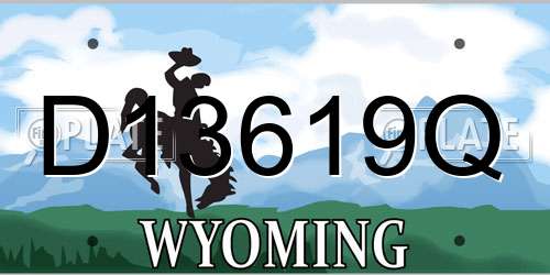 D13619Q Wyoming License Plate
