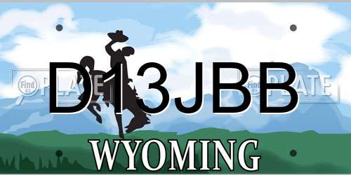 D13JBB Wyoming License Plate