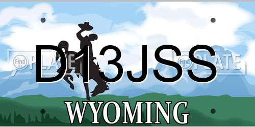 D13JSS Wyoming License Plate