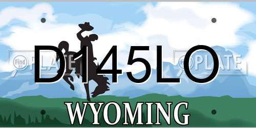 D145LO Wyoming License Plate