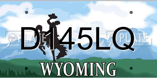 D145LQ Wyoming License Plate