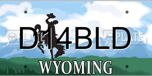 D14BLD Wyoming License Plate