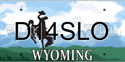D14SLO Wyoming License Plate