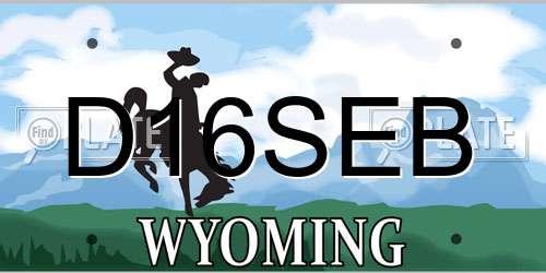 D16SEB Wyoming License Plate