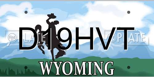 D19HVT Wyoming License Plate
