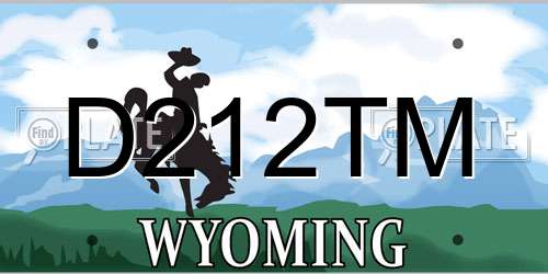 D212TM Wyoming License Plate