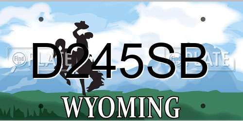 D245SB Wyoming License Plate