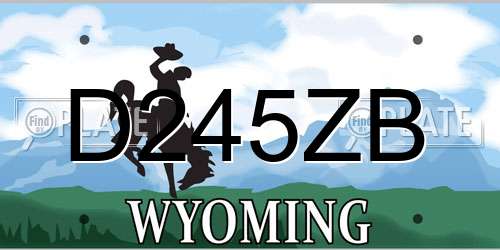 D245ZB Wyoming License Plate