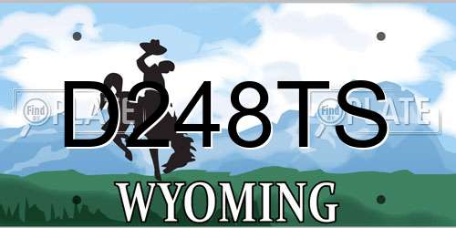 D248TS Wyoming License Plate