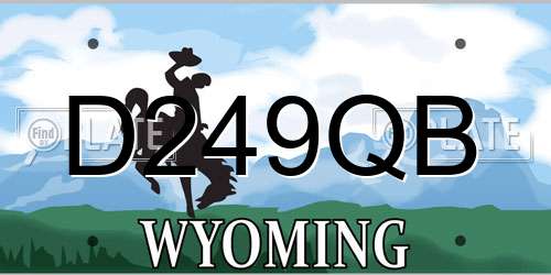 D249QB Wyoming License Plate