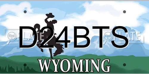 D24BTS Wyoming License Plate