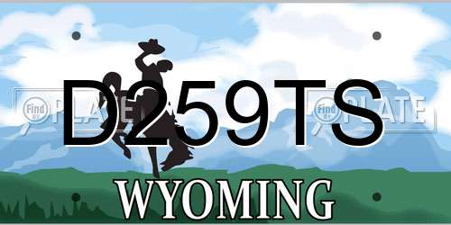 D259TS Wyoming License Plate