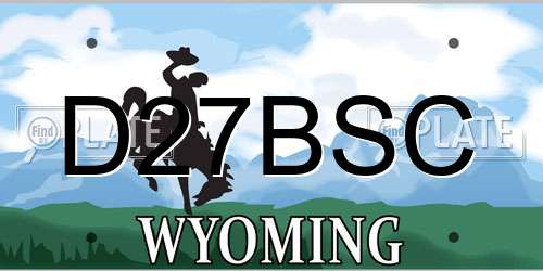D27BSC Wyoming License Plate