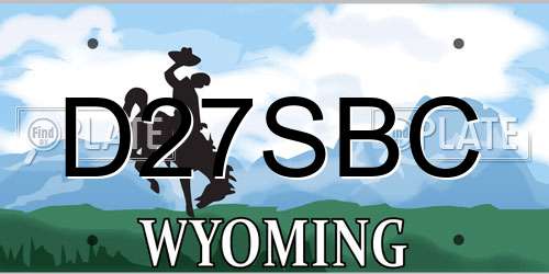 D27SBC Wyoming License Plate