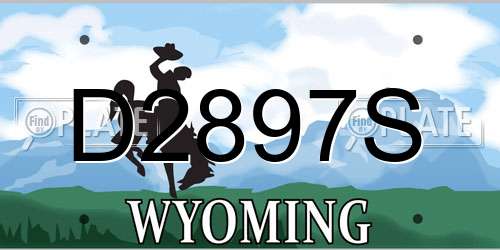 D2897S Wyoming License Plate