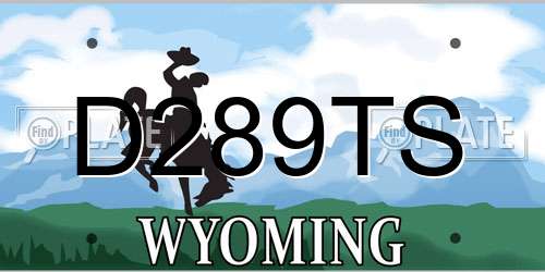 D289TS Wyoming License Plate