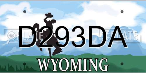 D293DA Wyoming License Plate