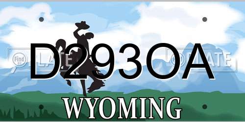 D293OA Wyoming License Plate