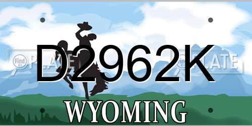 D2962K Wyoming License Plate