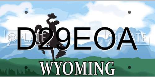 D29EOA Wyoming License Plate