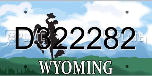 D322282 Wyoming License Plate
