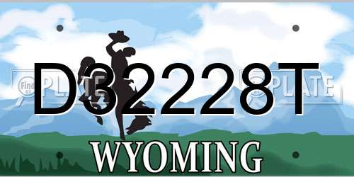D32228T Wyoming License Plate
