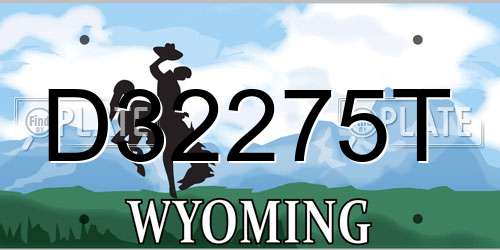 D32275T Wyoming License Plate