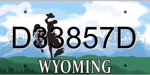 D33857D Wyoming License Plate
