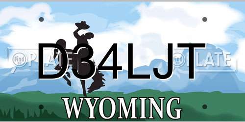 D34LJT Wyoming License Plate